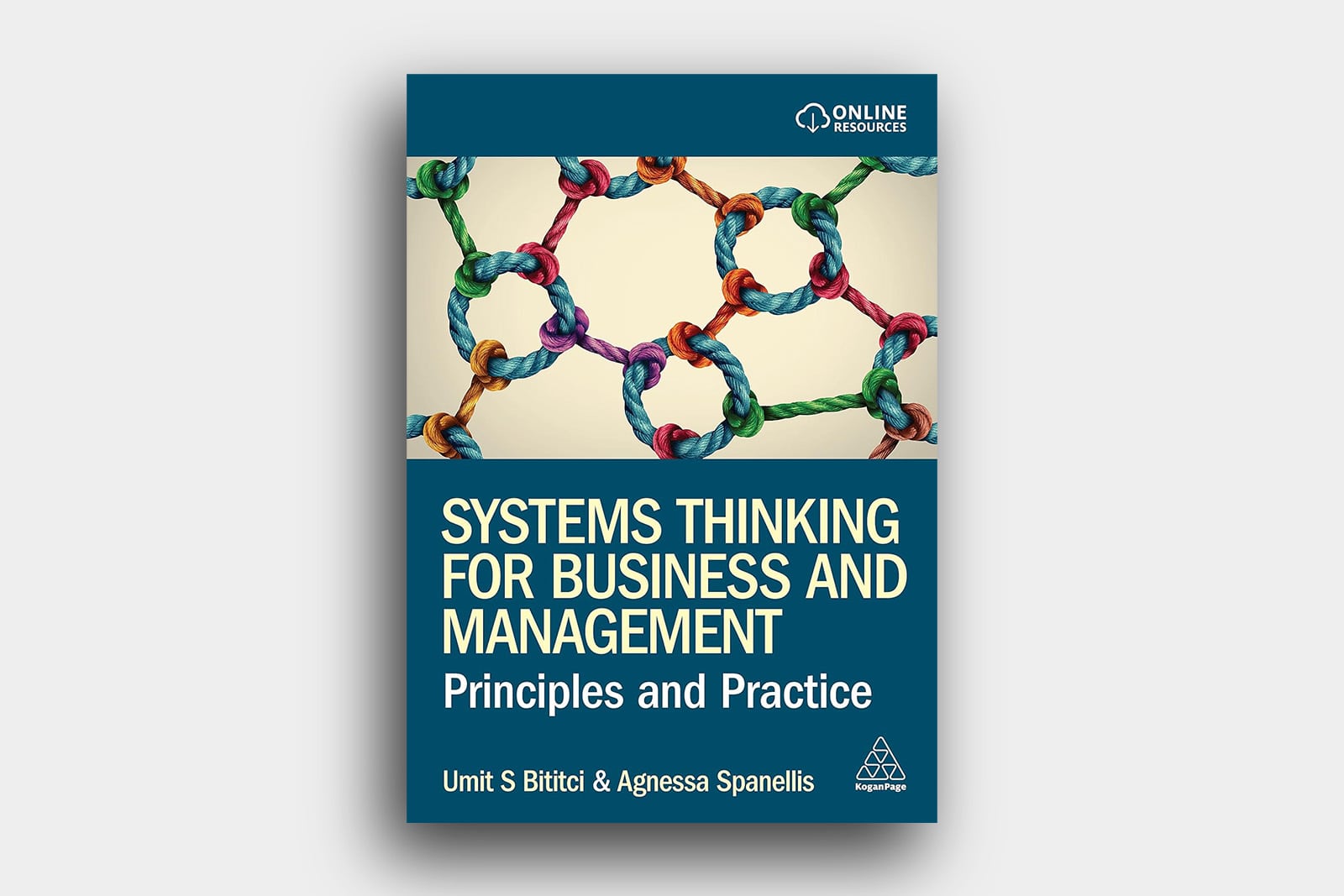 Systems Thinking for Business and Management book cover