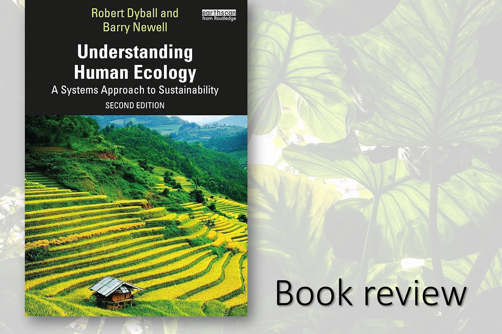 Understanding Human Biology book cover