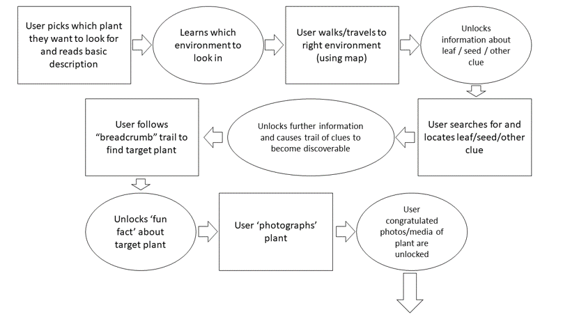 Botanical gardens VR experience storyboard, which reads: user picks which plant they want to look for and reads basic description, learns which environment to look in, walks/travels to right environment (using map), unlocks information about leaf/seed/other clue, searches for and locates leaf/seed/other clue, unlocks further information and causes trail of clues to become discoverable, follows breadcrumb trail to find target plant, unlocks fun fact about target plant, photographs plant and is congratulated.