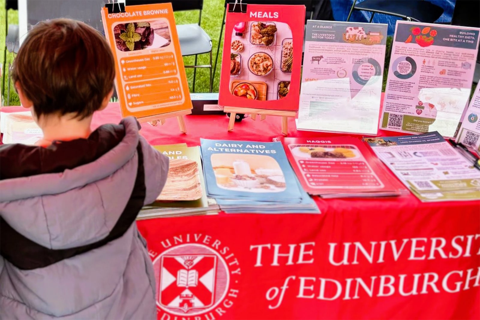A young boy studies a table with cards featuring information about the sustainability and nutritional content of various food items.