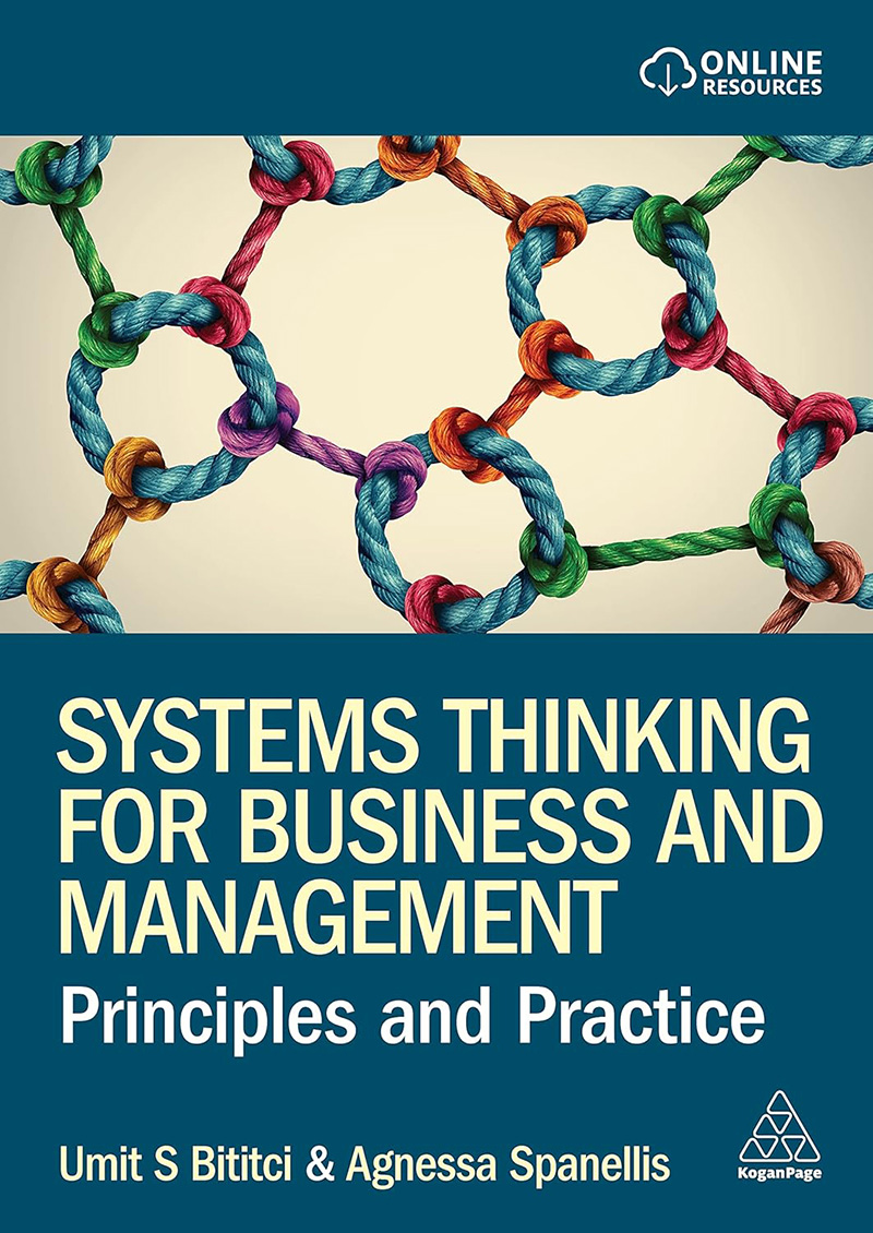 Systems Thinking for Business and Management Book Cover