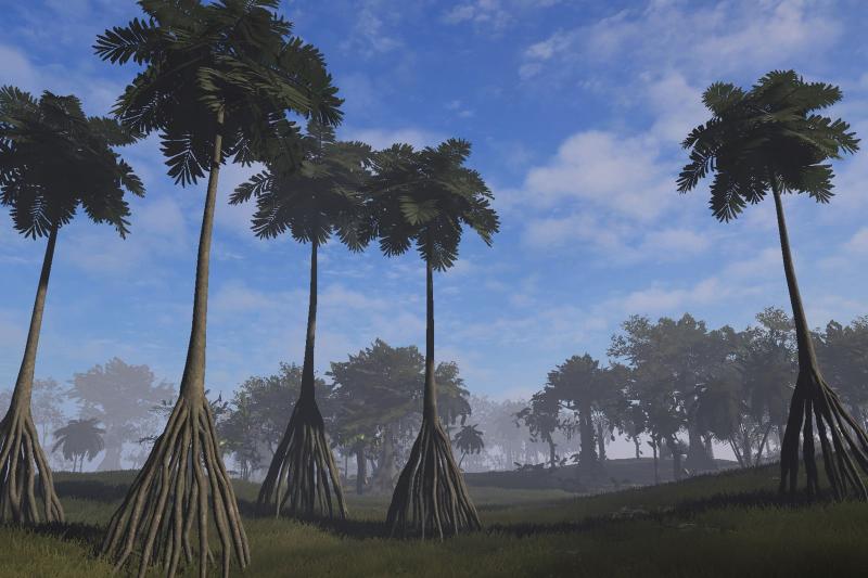 A scene from the virtual reality model, based on the botanical gardens in Georgetown, Guyana