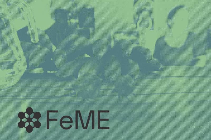 Duotone photograph, overlayed with the logo for the Failure Modes of Engineering (FeME) network.