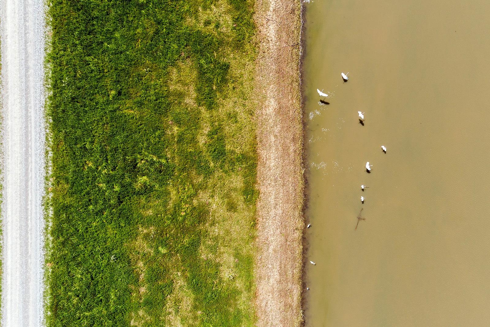 Natural flood barrier