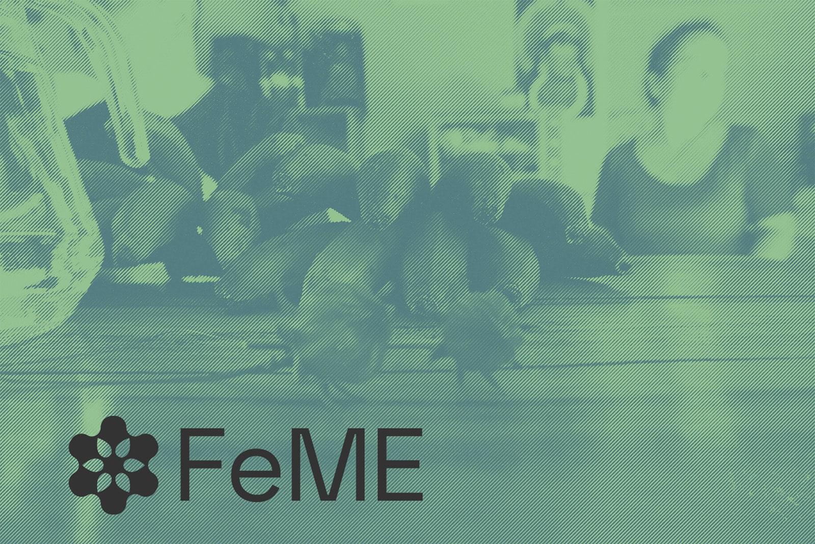 Duotone photograph, overlayed with the logo for the Failure Modes of Engineering (FeME) network.